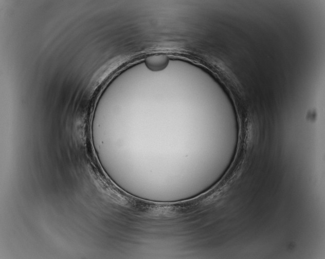 X0000115621162200911241617