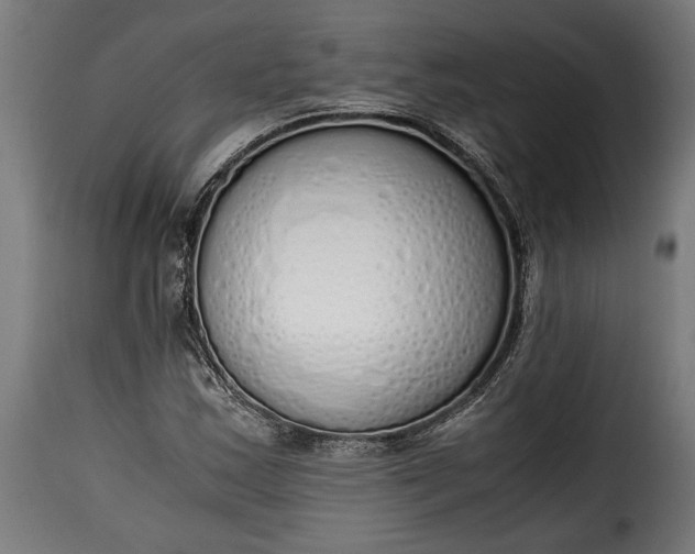 X0000115621163200911241617