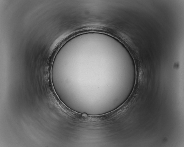 X0000115621164200911241617