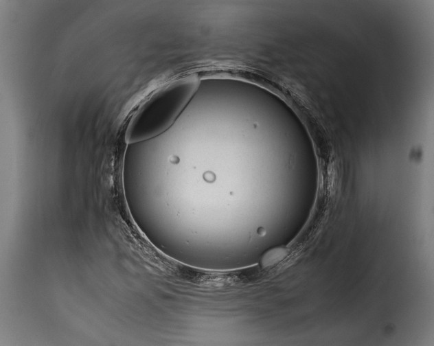 X0000115621165200911241617