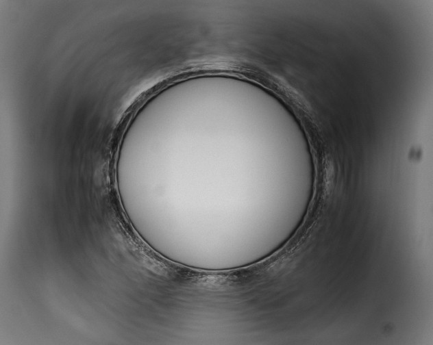 X0000115621166200911241617