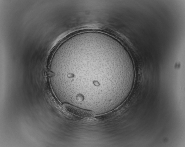 X0000115621168200911241617