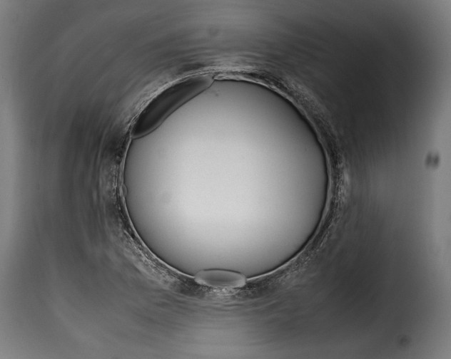 X0000115621169200911241617