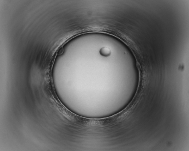 X0000115621170200911241617