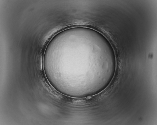 X0000115621171200911241617