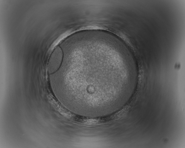 X0000115621173200911241617