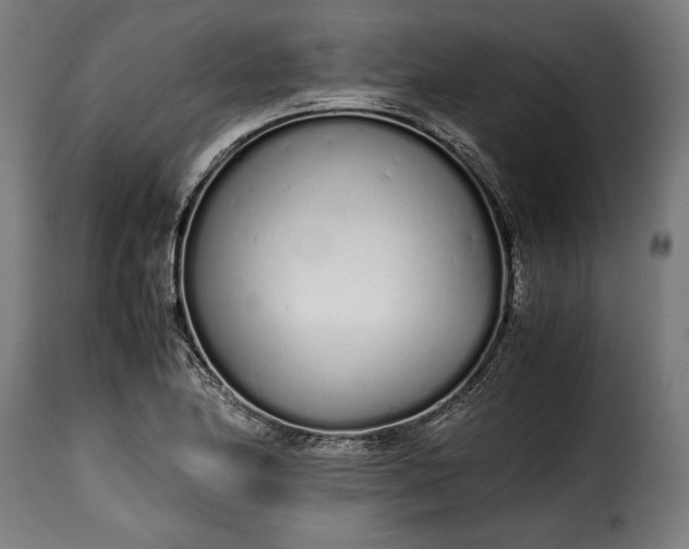 X0000115621174200911241617