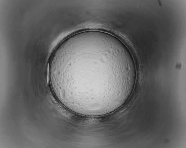 X0000115621175200911241617