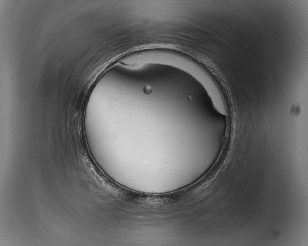 X0000115621177200911241617