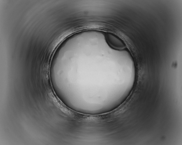 X0000115621178200911241617