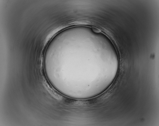 X0000115621179200911241617