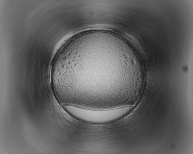 X0000115621180200911241617