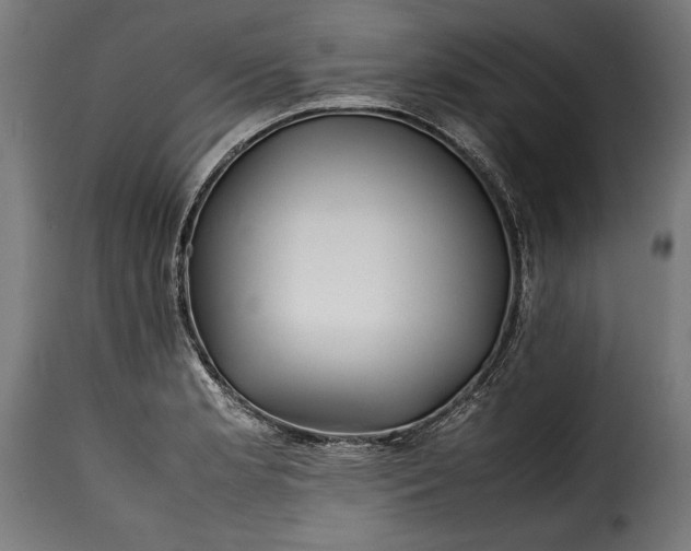 X0000115621181200911241617