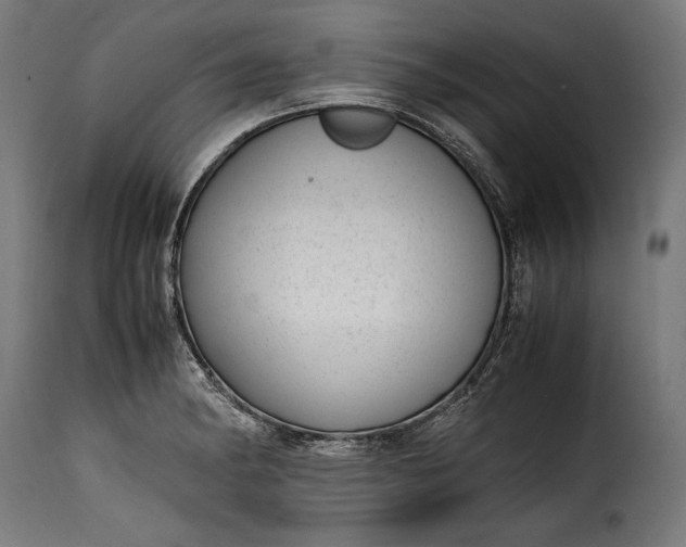 X0000115621182200911241617