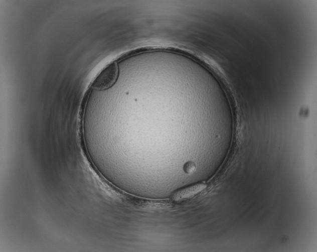 X0000115621183200911241617