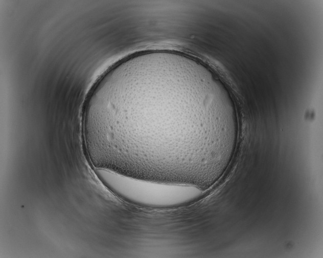 X0000115621184200911241617