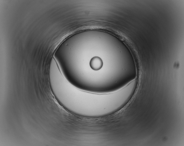 X0000115621185200911241617