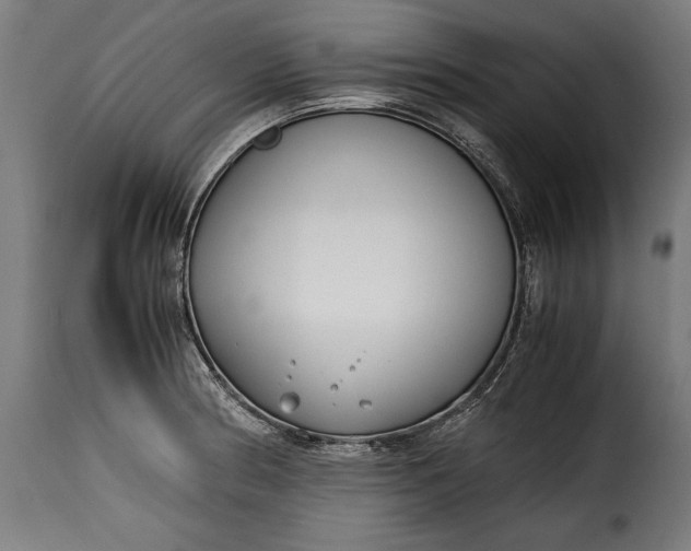 X0000115621186200911241617