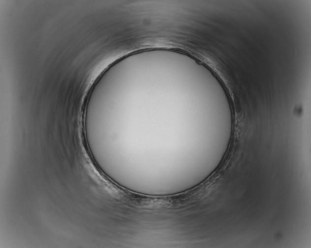 X0000115621187200911241617