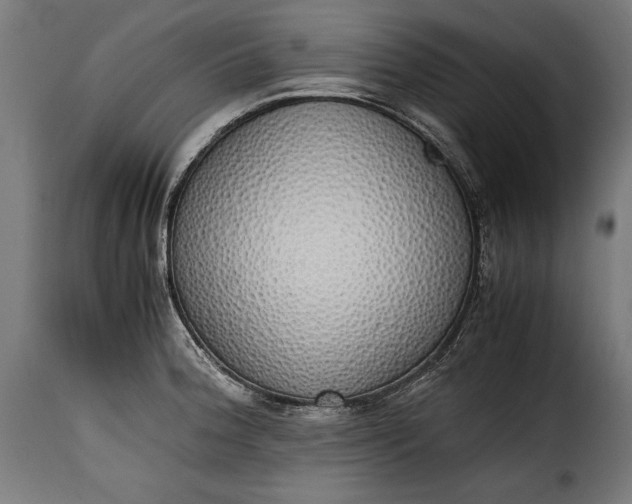 X0000115621188200911241617