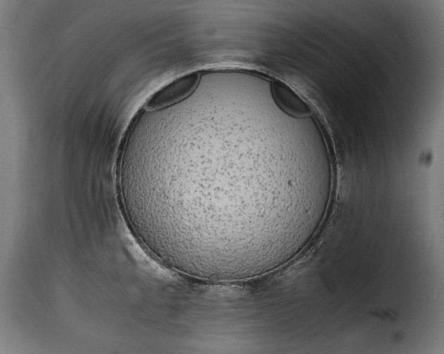 X0000115621189200911241617