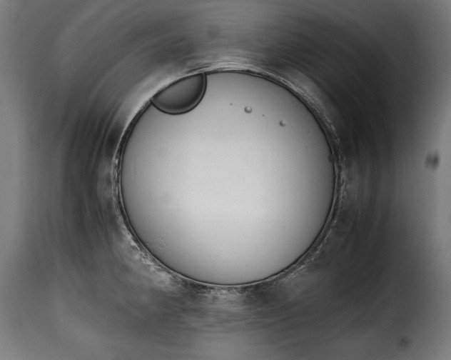 X0000115621190200911241617