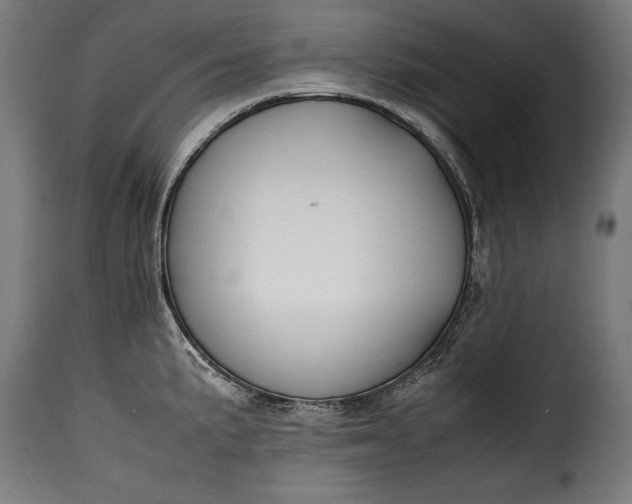 X0000115621191200911241617