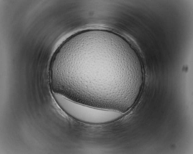 X0000115621192200911241617