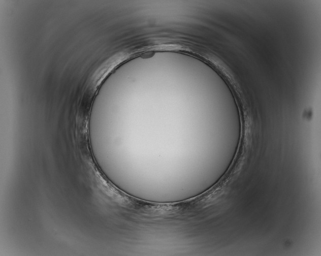 X0000115621193200911241616