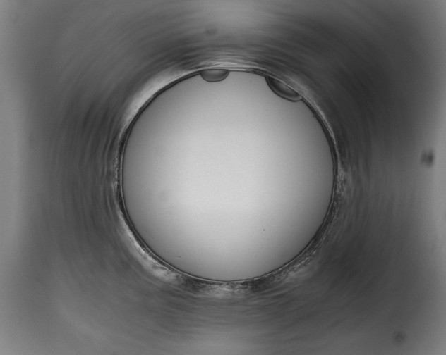 X0000115621195200911241616