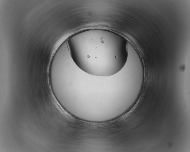 X0000115621196200911241616