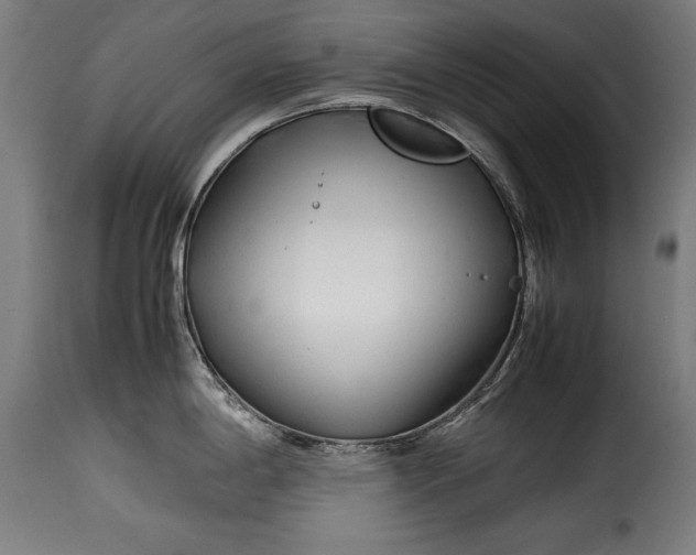 X0000115621198200911241616