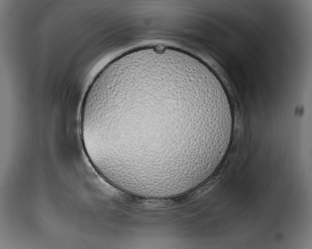 X0000115621199200911241616