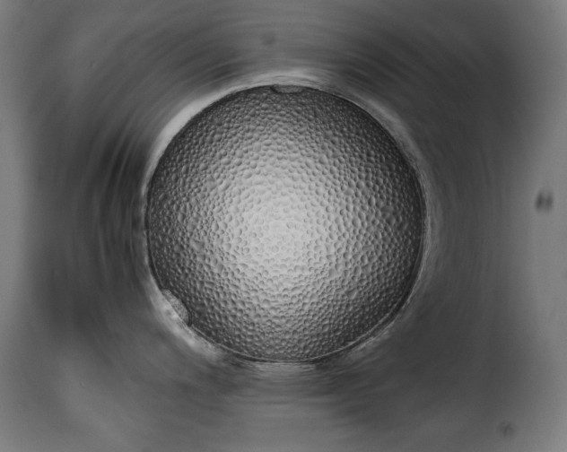 X0000115621200200911241616