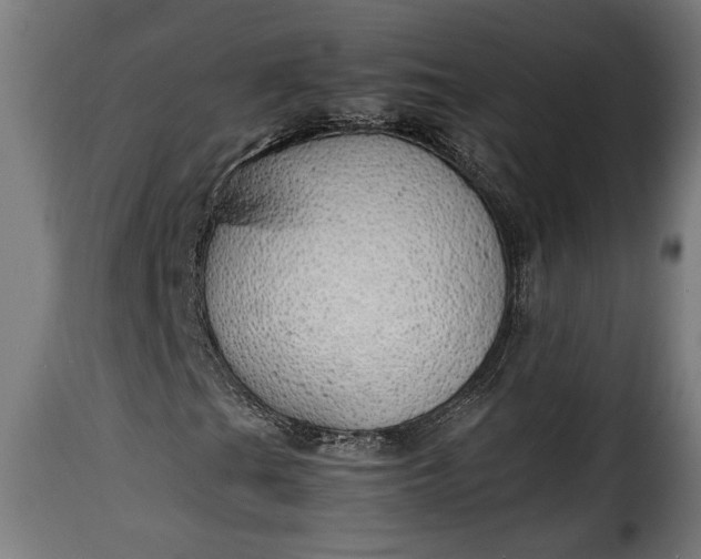 X0000115621201200911241616