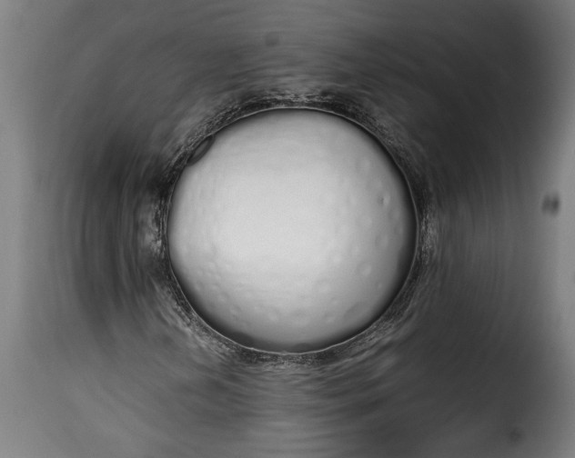 X0000115621202200911241616