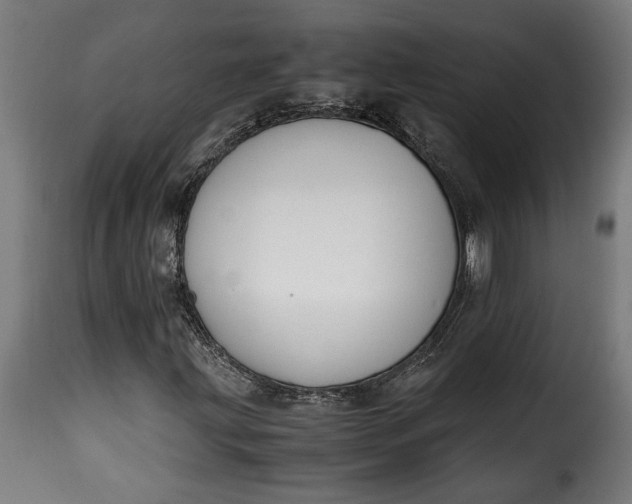 X0000115621203200911241616