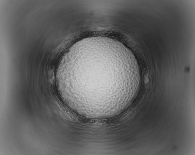 X0000115621204200911241616