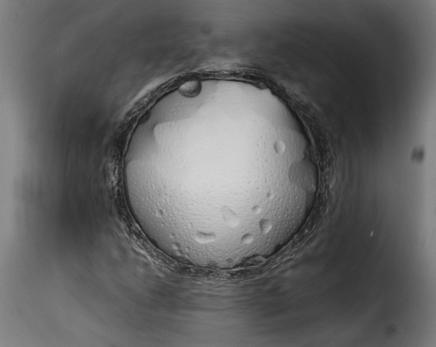 X0000115621206200911241616