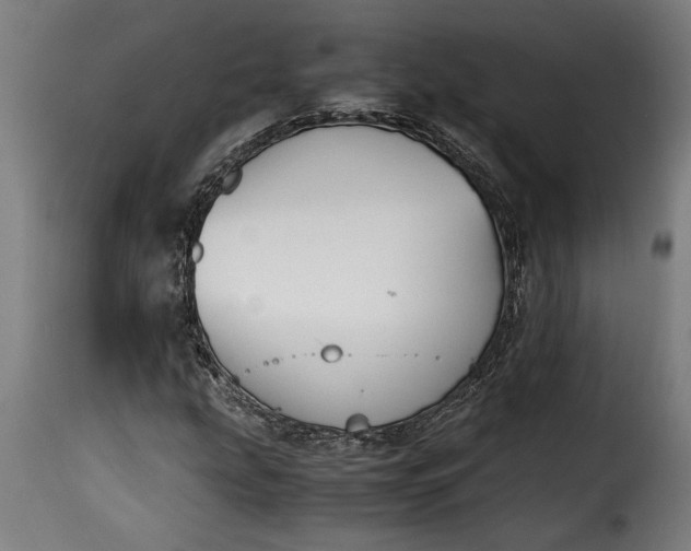 X0000115621207200911241616