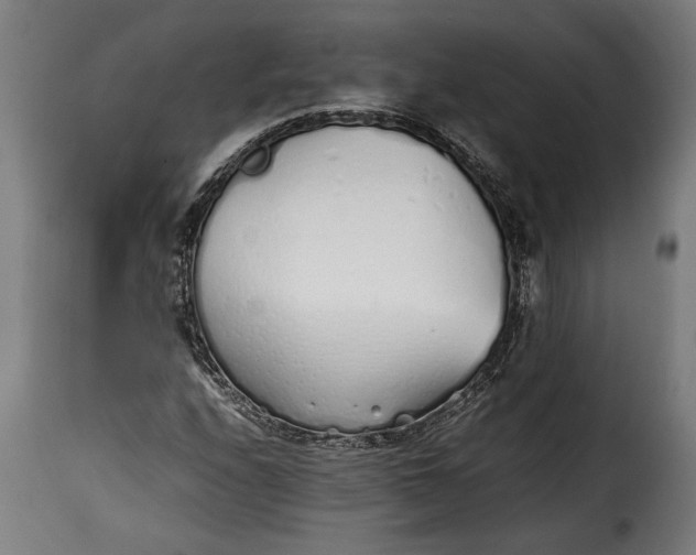 X0000115621208200911241616