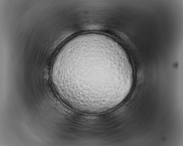 X0000115621209200911241616