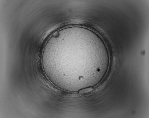 X0000115621210200911241616