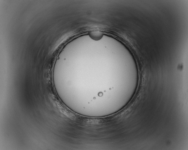 X0000115621211200911241616