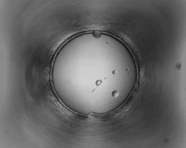 X0000115621212200911241616