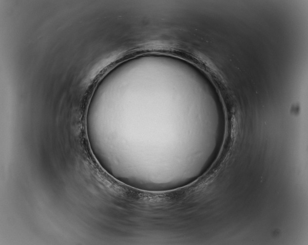 X0000115621213200911241616