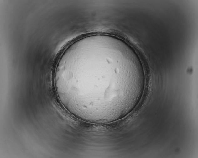 X0000115621214200911241616