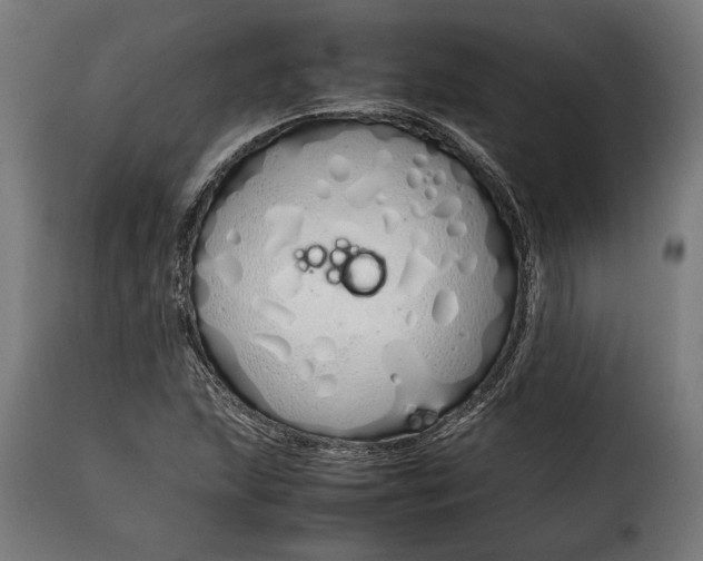 X0000115621215200911241616