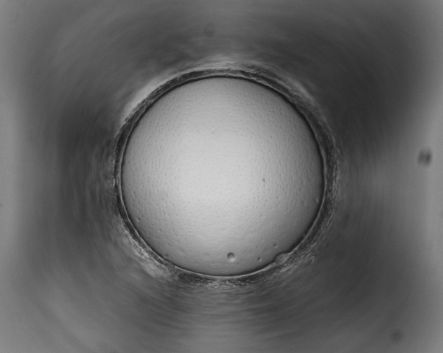 X0000115621216200911241616