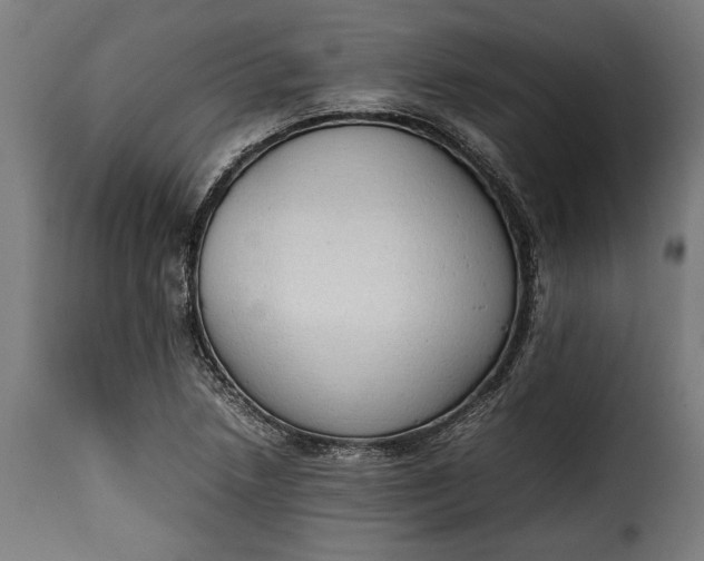 X0000115621218200911241616